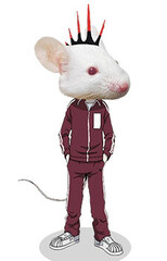 Rat