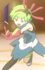 Shulin