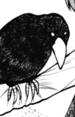 Karasu