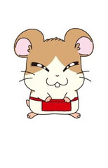Maido-kun